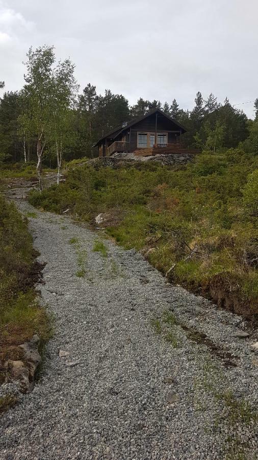 Вилла Molvik Hytten Ostereidet Экстерьер фото